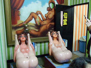 Illustration for article titled Japanese sex museums are where your sanity goes to die (NSFW)
